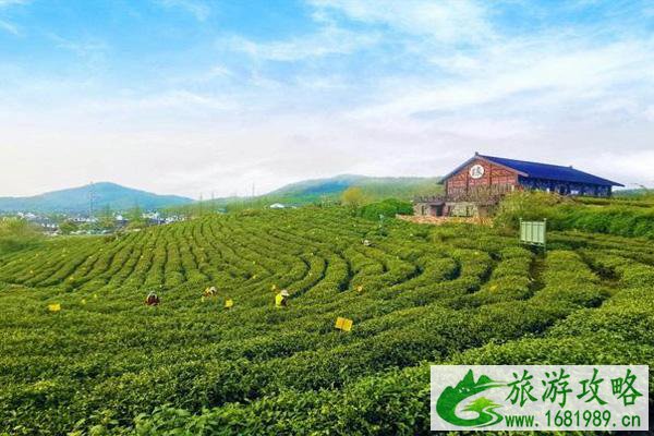 南京龙山赏心谷好玩嘛 南京龙山赏心谷在哪里