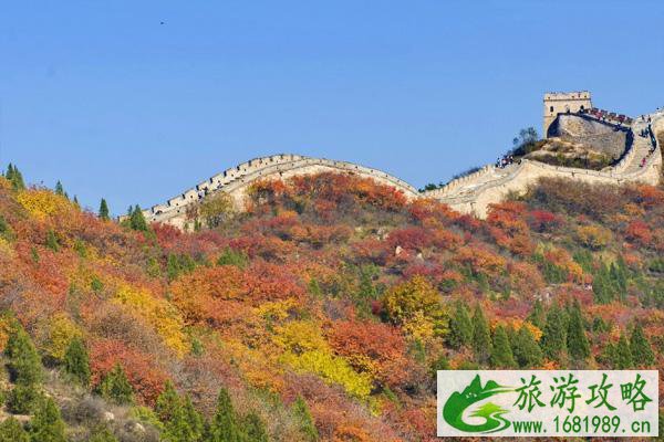 2021北京延庆看红叶最好的地方