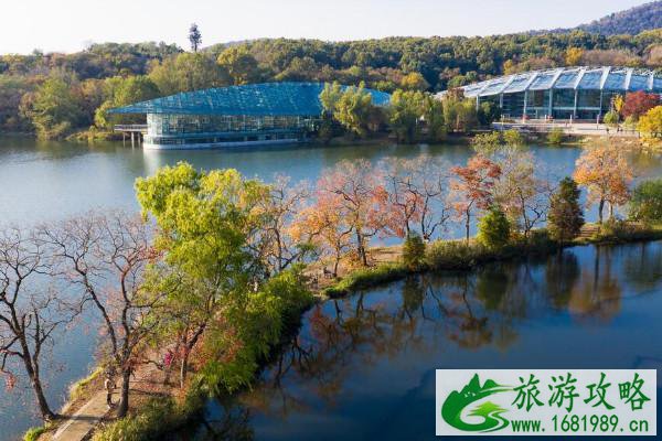 2021南京中山植物园赏花攻略 2021南京中山植物园赏花攻略