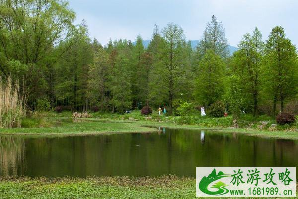 2021南京中山植物园赏花攻略 2021南京中山植物园赏花攻略