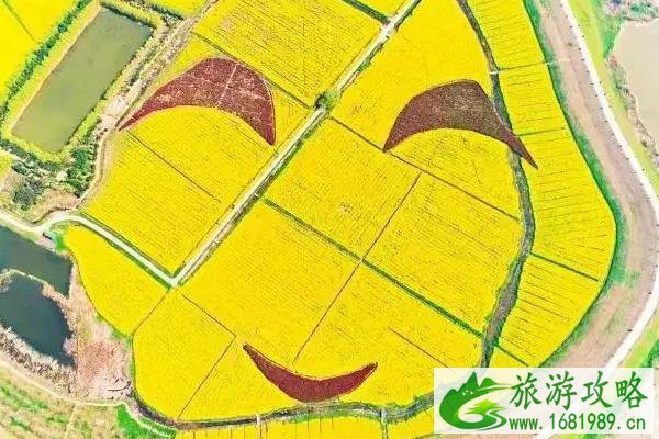2021南京春天看花的地方
