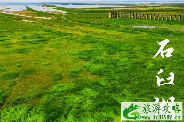 南京踏青去哪里 2021南京春季旅游最佳去处