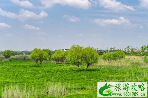 南京踏青去哪里 2021南京春季旅游最佳去处