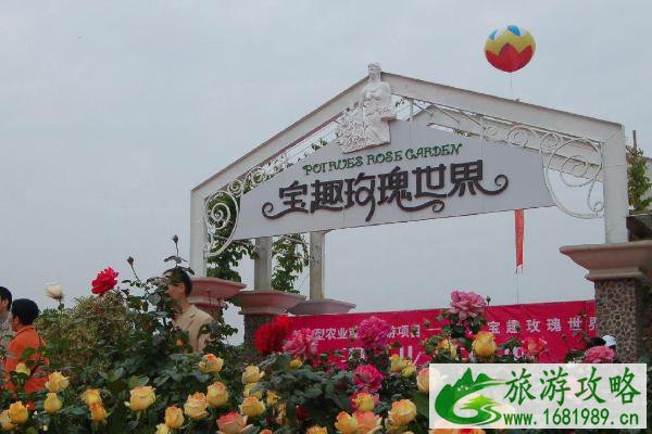 2021广州从化玫瑰艺术文化节时间-地点-精彩看点 2021广州从化玫瑰艺术文化节时间-地点-精彩看点