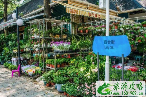 深圳特色小镇有哪些 2021深圳特色小镇推荐 深圳特色小镇有哪些 2021深圳特色小镇推荐