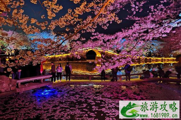 无锡樱花怎么拍照好看 无锡樱花什么时候盛开