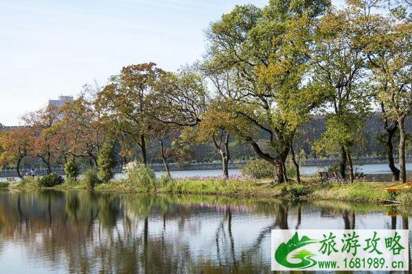 2021南京中山植物园将免费开放25天