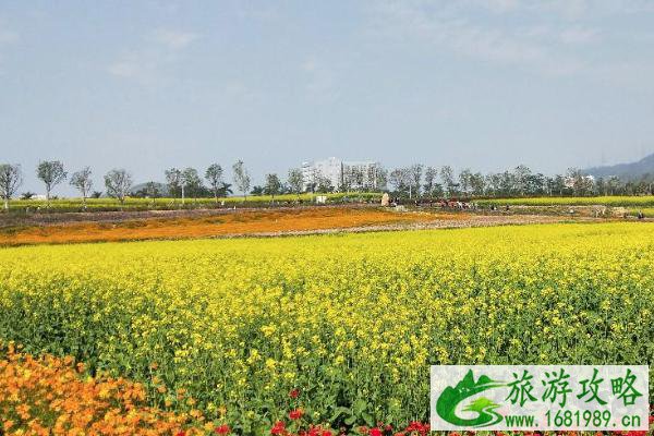 深圳光明区有什么好玩的地方 深圳光明区景点推荐 深圳光明区有什么好玩的地方 深圳光明区景点推荐