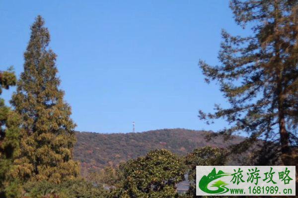 南京新晋国家AAA级旅游景区