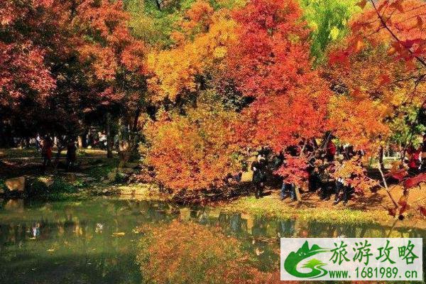2020天平山枫叶观赏最佳时间 苏州天平山枫叶什么时候红