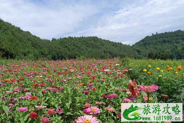 无锡宛心花田在哪里 无锡宛心花田有哪些花