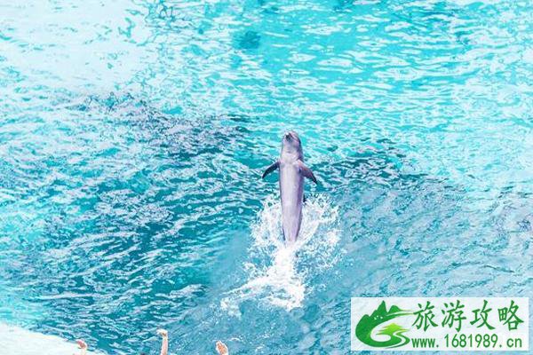 新加坡圣淘沙必游景点推荐 新加坡圣淘沙必游景点推荐