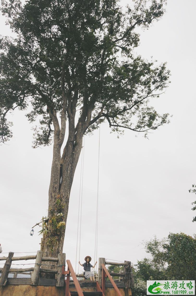 清迈在哪里 清迈自由行攻略 清迈在哪里 清迈自由行攻略
