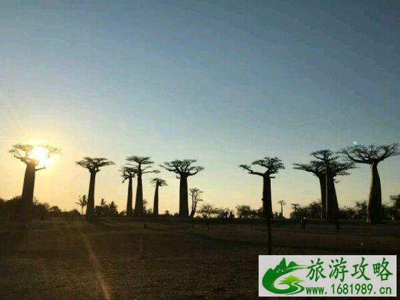 一个女孩不一样的非洲之旅 一个女孩不一样的非洲之旅