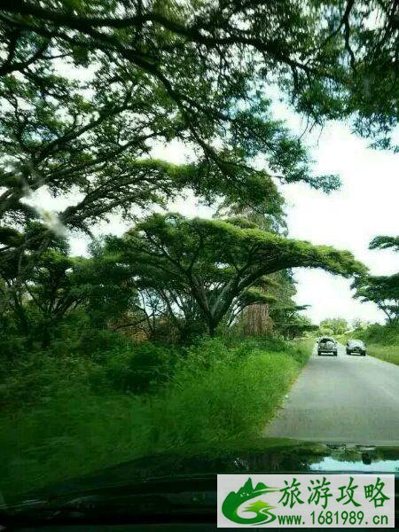 一个女孩不一样的非洲之旅 一个女孩不一样的非洲之旅