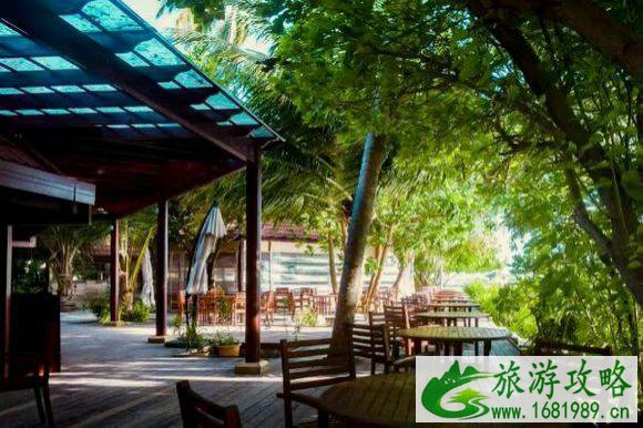 一个女孩不一样的非洲之旅 一个女孩不一样的非洲之旅