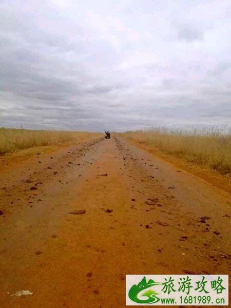 一个女孩不一样的非洲之旅 一个女孩不一样的非洲之旅