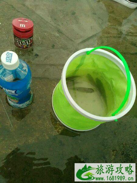 一个女孩不一样的非洲之旅 一个女孩不一样的非洲之旅