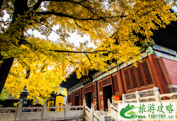 北京红螺寺开门了吗 2020红螺寺预约门票步骤及入口