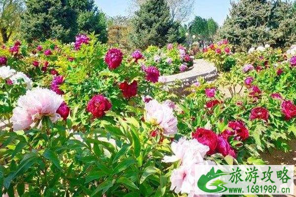 2022北京世界花卉大观园春季赏花时间表