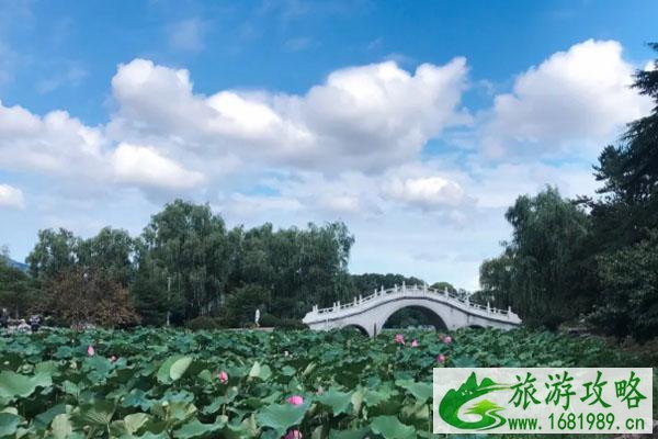 南京哪里有荷花-门票价格 南京哪里有荷花-门票价格