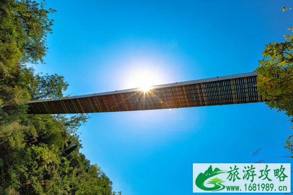 2021南京端午节有什么活动-活动汇总