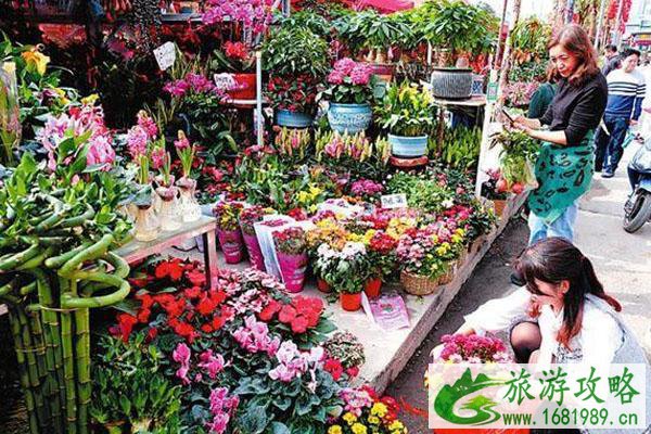 2021广州番禺区迎春花市举办时间 限制预约人数