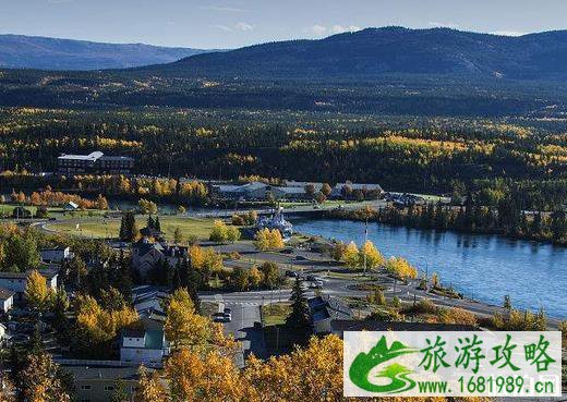 去到美国 选择哪一个美国通讯运营商比较好 去到美国 选择哪一个美国通讯运营商比较好