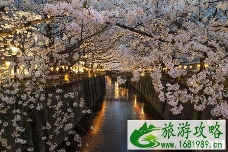 日本留学生交通优惠有哪些