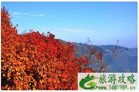 北京看红叶香山公园游玩攻略