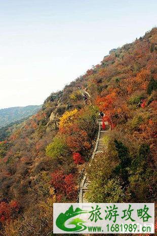 北京看红叶香山公园游玩攻略