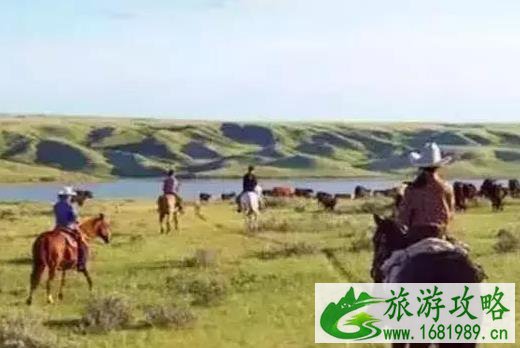 加拿大萨省移民 加拿大萨省商业移民可以选择哪些项目 加拿大萨省移民 加拿大萨省商业移民可以选择哪些项目