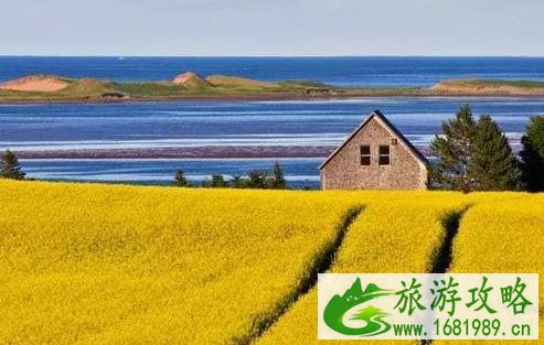 PEI企业家移民关停 加拿大移民项目的又一个陨落 PEI企业家移民关停 加拿大移民项目的又一个陨落