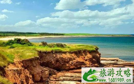 PEI企业家移民关停 加拿大移民项目的又一个陨落 PEI企业家移民关停 加拿大移民项目的又一个陨落