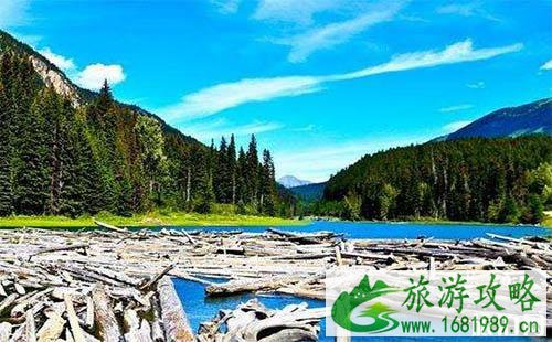 加拿大曼省商业移民条件有哪些 申请流程是怎样的 加拿大曼省商业移民条件有哪些 申请流程是怎样的