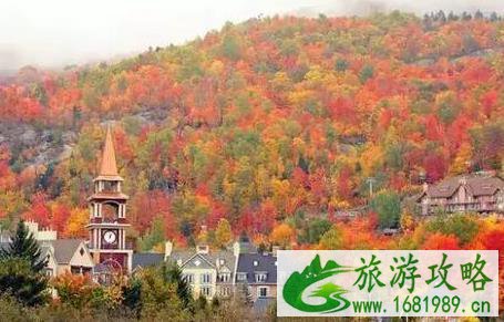 加拿大旅游签证需要买保险吗 需要什么材料 加拿大旅游签证需要买保险吗 需要什么材料