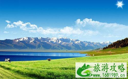 自由行旅游保险卖哪种比较好 自由行旅游保险卖哪种比较好