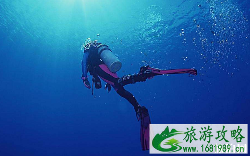 潜水需要买潜水保险吗 潜水有必要买潜水保险吗 潜水需要买潜水保险吗 潜水有必要买潜水保险吗