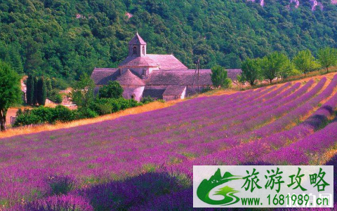 去普罗旺斯旅游需要几天足够游玩 去普罗旺斯旅游需要几天足够游玩