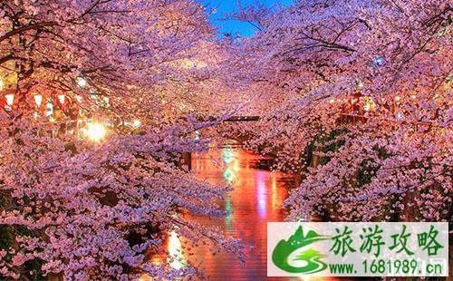 大阪行李寄存可以过夜吗 大阪行李寄存可以存多久 大阪行李寄存可以过夜吗 大阪行李寄存可以存多久