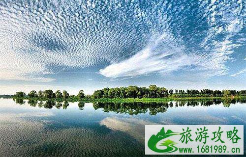 北京大运河森林公园游玩路线2022 北京大运河森林公园游玩路线2022