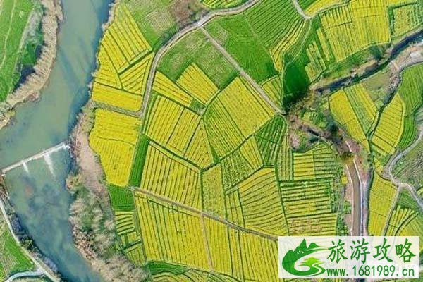 萍乡湘东油菜花什么时候绽放