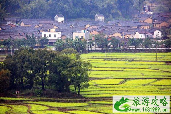 2022广东油菜花旅游景点在哪里 2022广东油菜花旅游景点在哪里