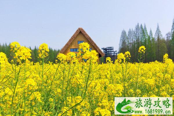 2022光明小镇欢乐田园油菜花开了吗?需要预约观赏吗? 2022光明小镇欢乐田园油菜花开了吗?需要预约观赏吗?
