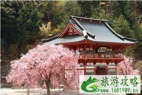 2022年日本四月樱花攻略