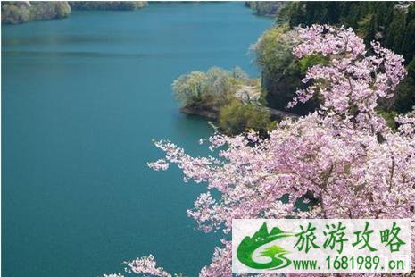 2022年日本四月樱花攻略