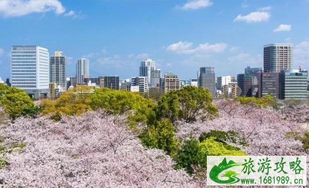 2022年日本各地樱花季预报表 2022年日本各地樱花季预报表