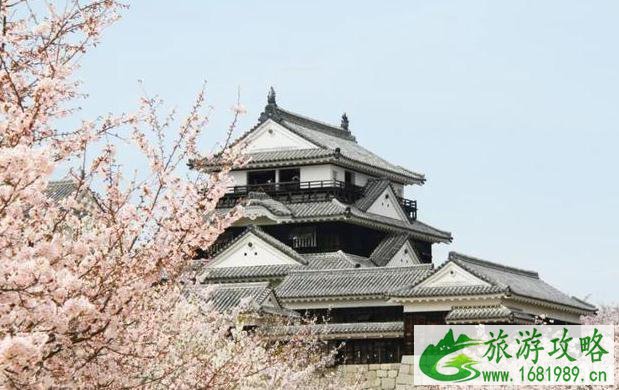 2022年日本各地樱花季预报表 2022年日本各地樱花季预报表