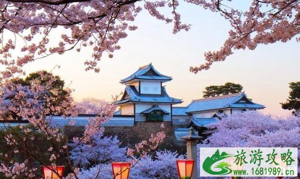 2022年日本各地樱花季预报表 2022年日本各地樱花季预报表
