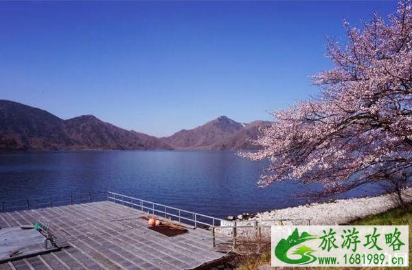 2022年日本各地樱花季预报表 2022年日本各地樱花季预报表
